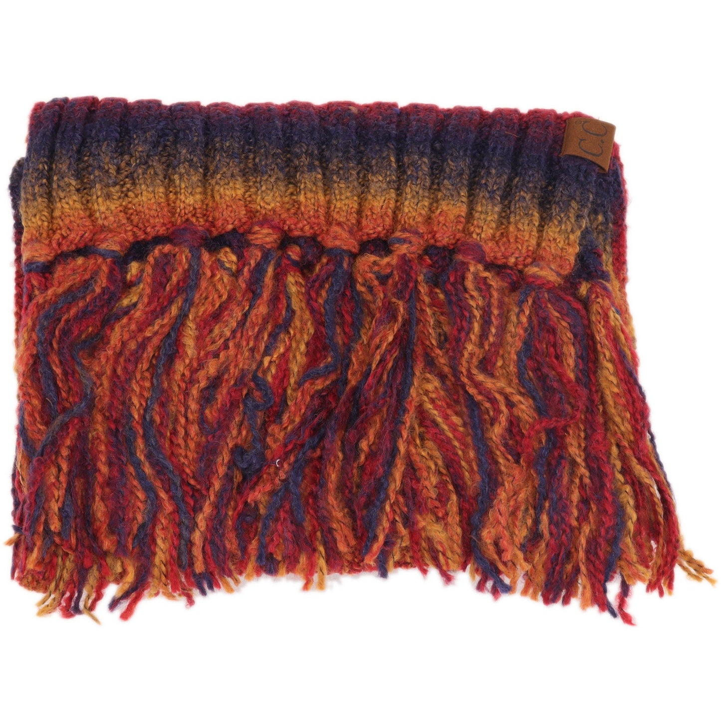 Ombre Knit Scarf with Fringe