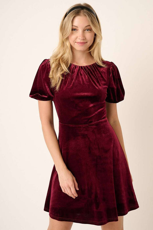 Holly's Wine Velvet Dress